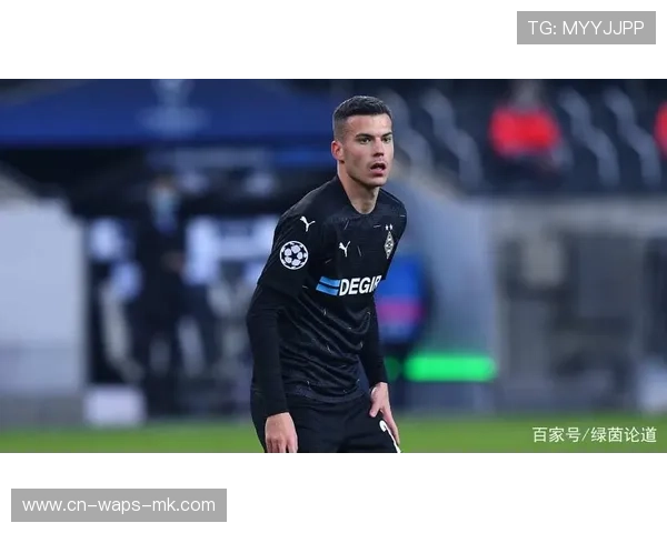 德甲冬窗侧重年青化策略为未来奠定底层结构